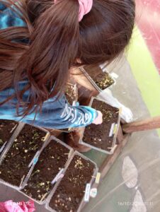 WhatsApp Image 2025-10-23 at 15.50.41 (11)