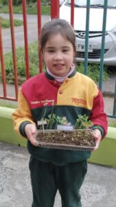 WhatsApp Image 2025-10-23 at 15.50.41 (13)