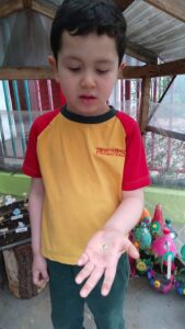 WhatsApp Image 2025-10-23 at 15.50.41 (15)