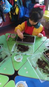 WhatsApp Image 2025-10-23 at 15.50.41 (5)