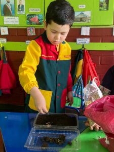 WhatsApp Image 2025-10-23 at 15.50.41 (6)