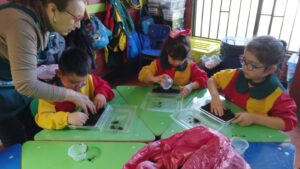 WhatsApp Image 2025-10-23 at 15.50.41 (7)