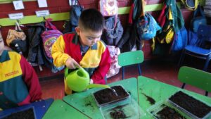 WhatsApp Image 2025-10-23 at 15.50.41 (8)