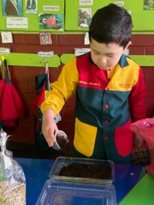 WhatsApp Image 2025-10-23 at 15.50.41 (9)