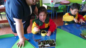 WhatsApp Image 2025-10-23 at 15.50.45 (1)