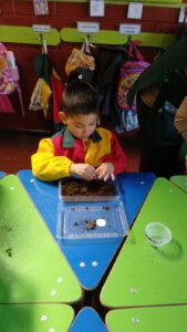 WhatsApp Image 2025-10-23 at 15.50.45