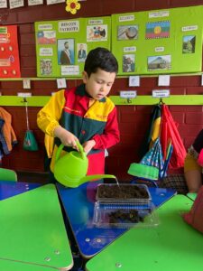 WhatsApp Image 2025-10-23 at 15.50.45 (4)