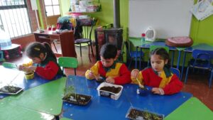 WhatsApp Image 2025-10-23 at 15.50.45 (5)