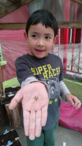 WhatsApp Image 2025-10-23 at 15.50.45 (9)